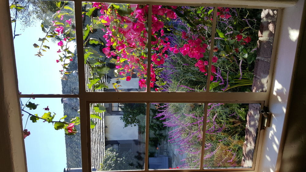 The Vagabond'S House Boutique Inn Carmel-by-the-Sea Zewnętrze zdjęcie